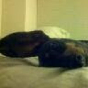 Meet your Posher, Cynthia